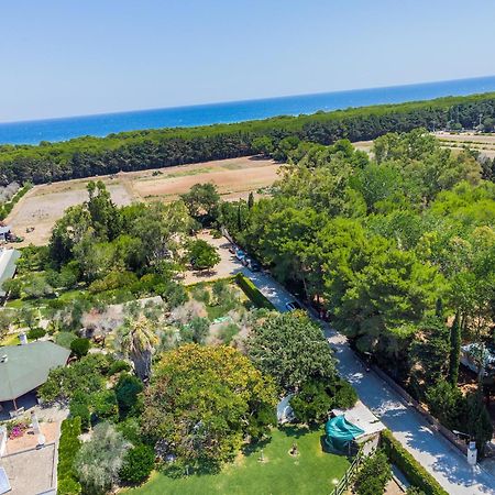 Bio Agriturismo Salos Alimini Bagian luar foto
