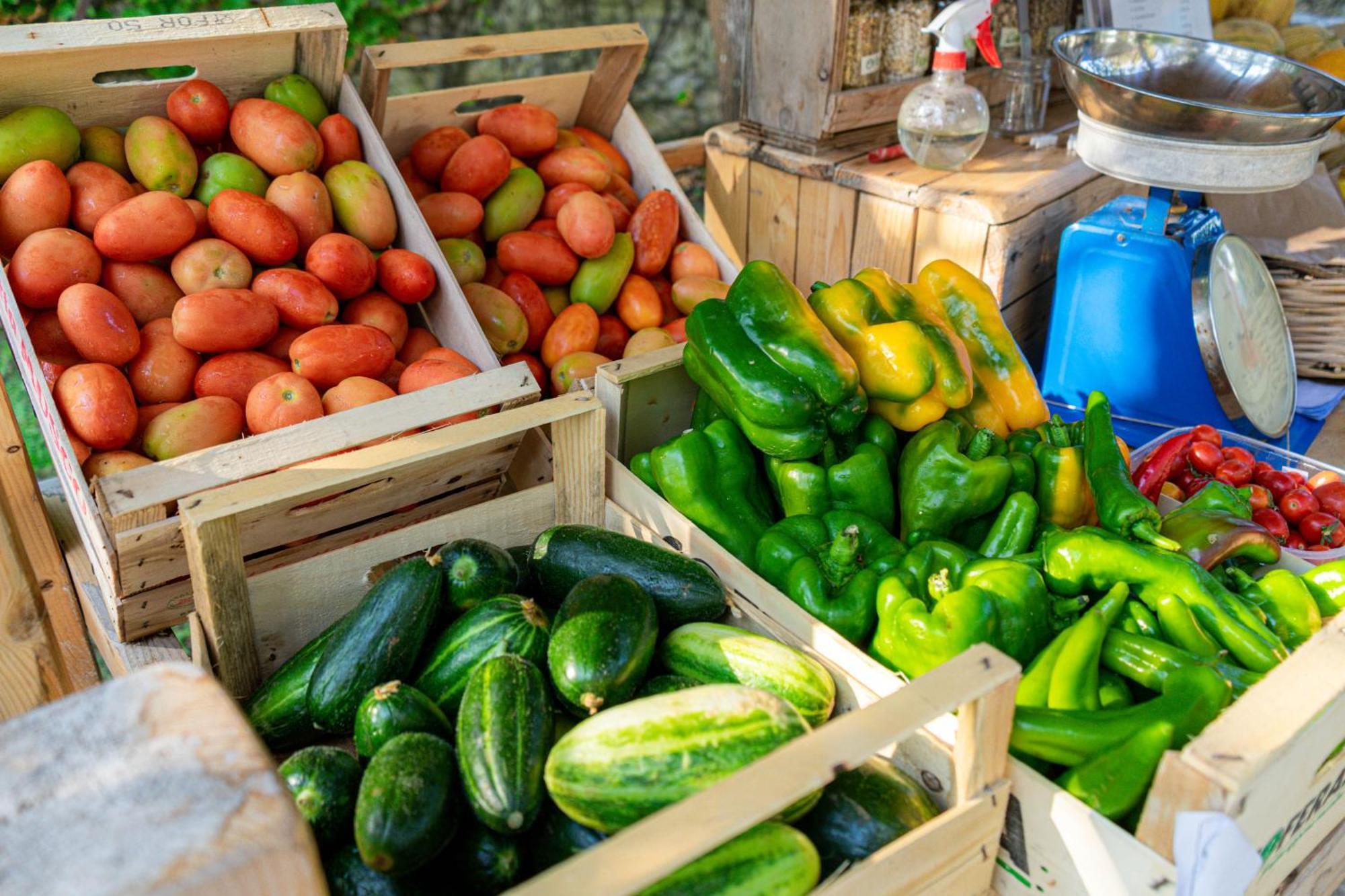 Bio Agriturismo Salos Alimini Bagian luar foto