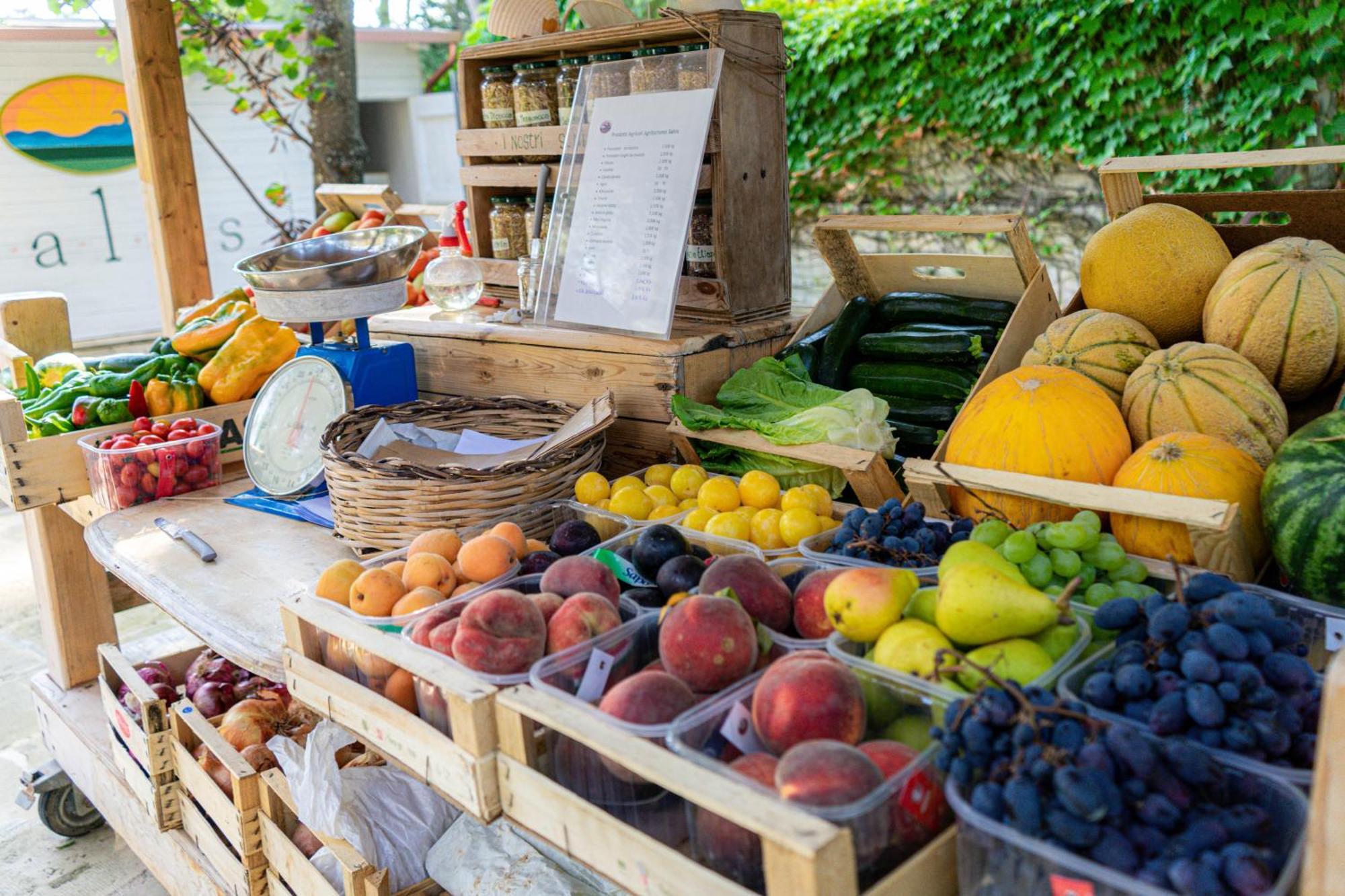 Bio Agriturismo Salos Alimini Bagian luar foto