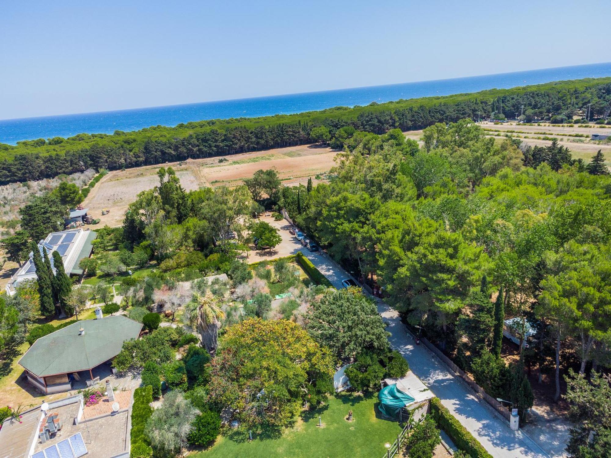 Bio Agriturismo Salos Alimini Bagian luar foto